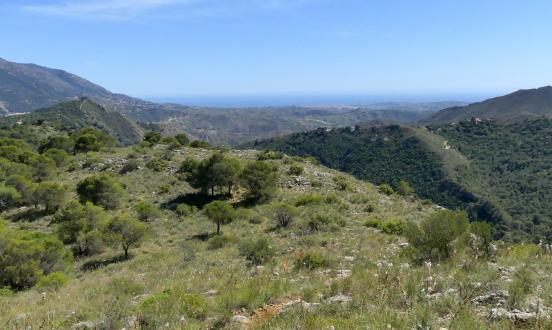 Andalusia: le orchidee e Grandi Pietre  marzo-aprile 2023.